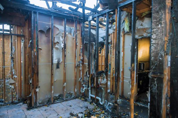 Professional Soot Cleanup technician working in Phoenix, MD